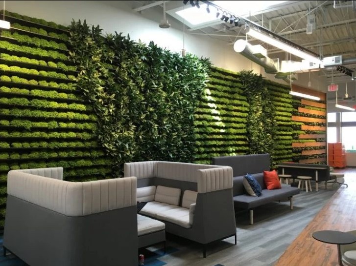 3 Great Examples of Biophilic Office Design Done Right